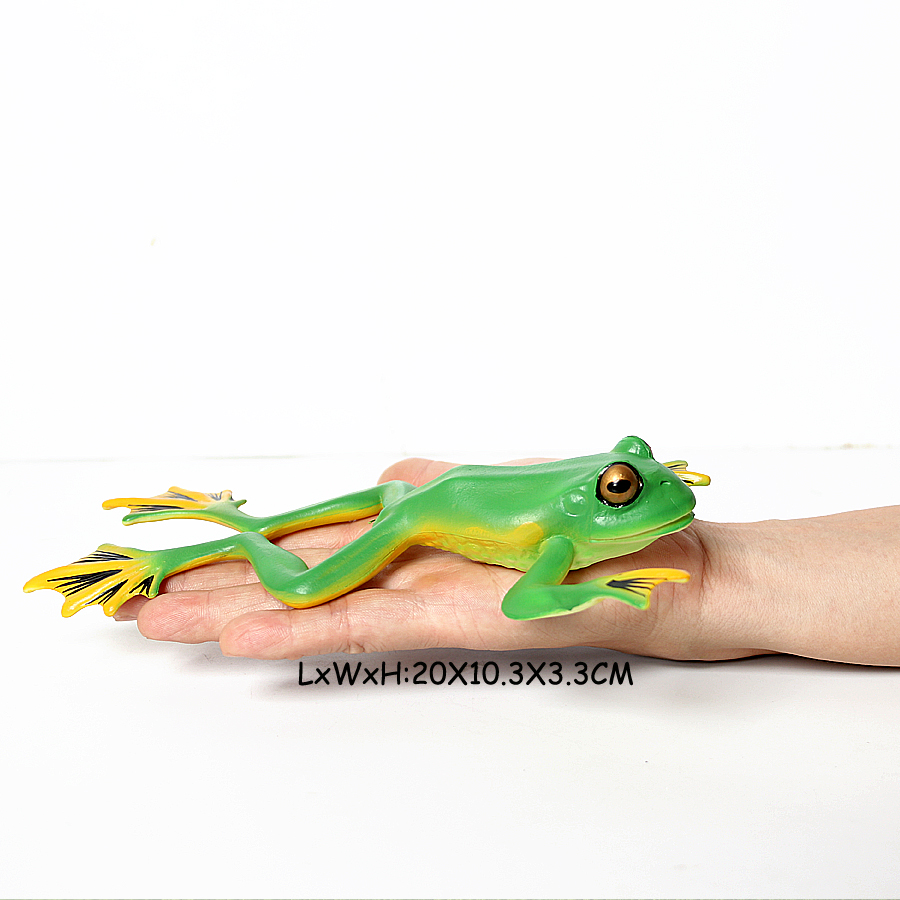 Frogs Models Wild Animals Figu - Kids Toys Reviews 评论和价格